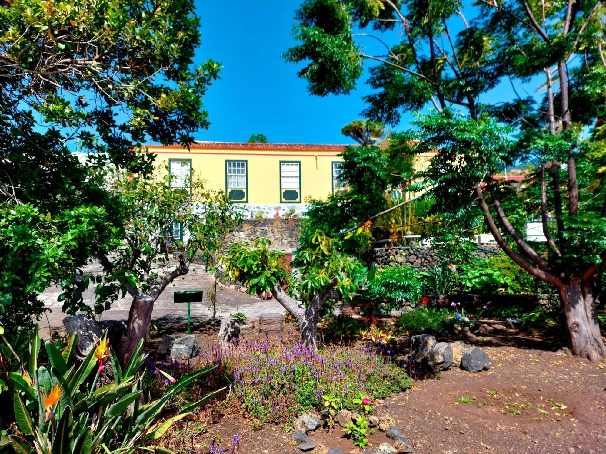Villa Asuncion A ブレーニャ・バハ エクステリア 写真